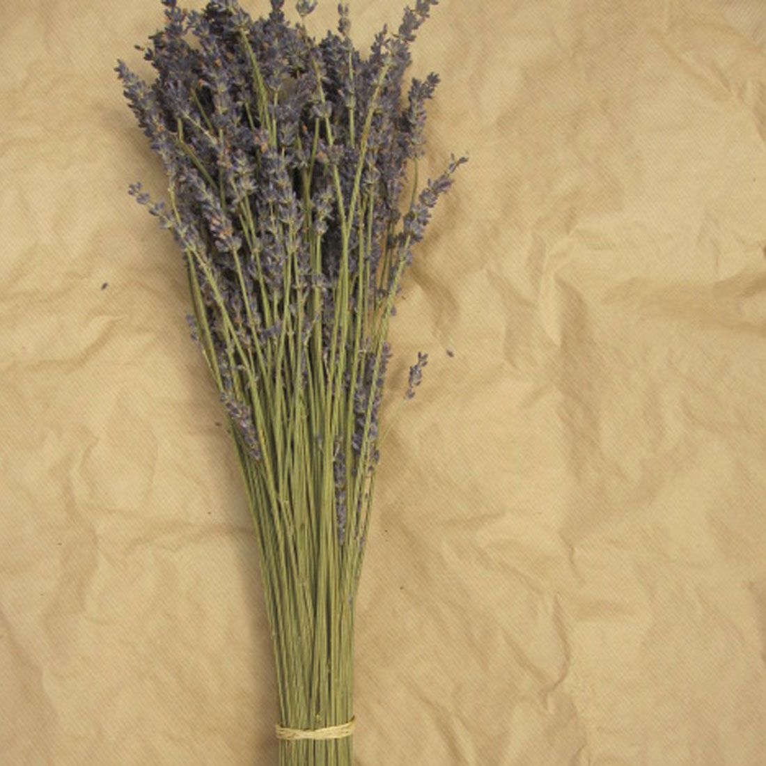 Dried Lavender Bunch, Dried Floral Art