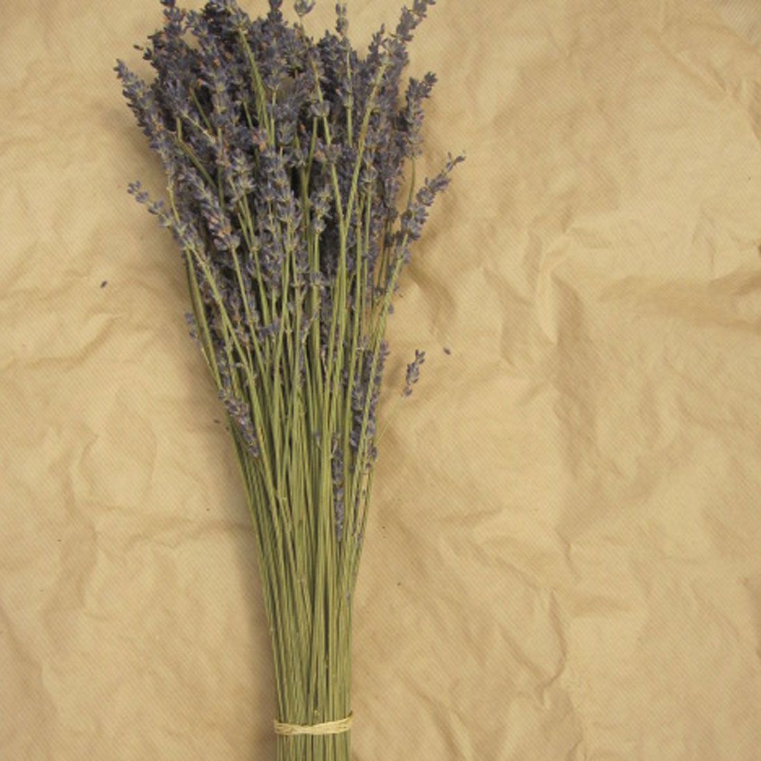 Dried Lavender Bunch